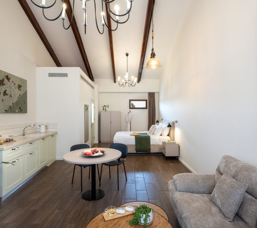 Hotel Briaa_Suite Irus_01_web