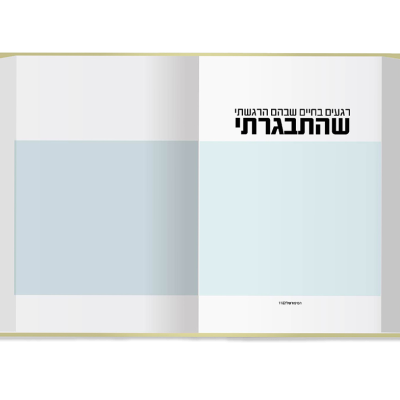 UV Web Design Book page gallery ELEMET _900 × 800 65