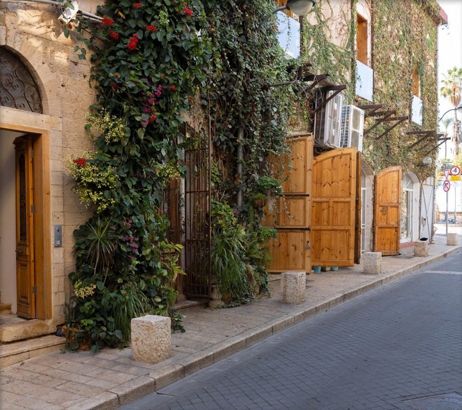 UV Web Design Lecture page pic gallery ריטריט בארץ5
